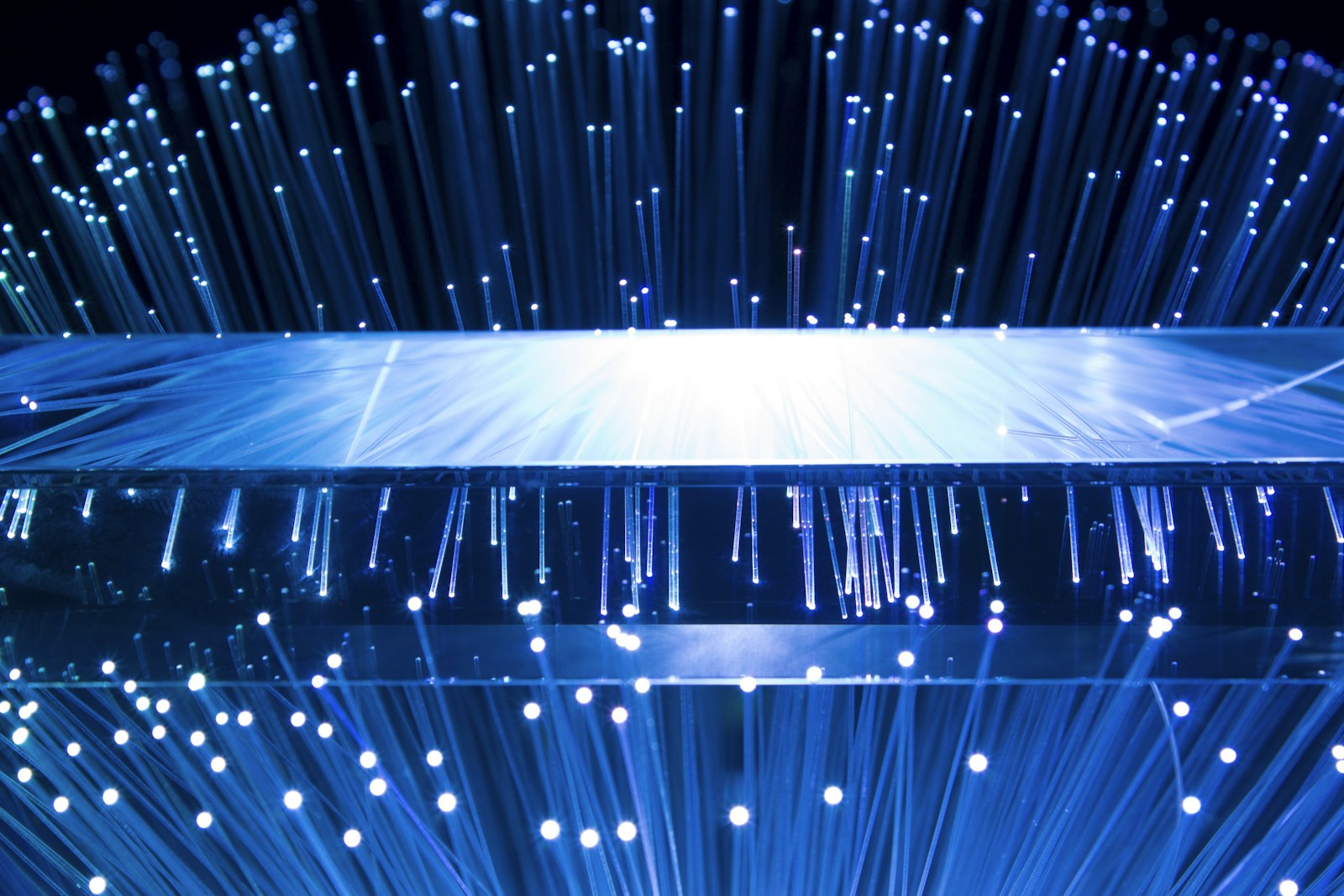A dense field of lit fibre-optic filaments in blue