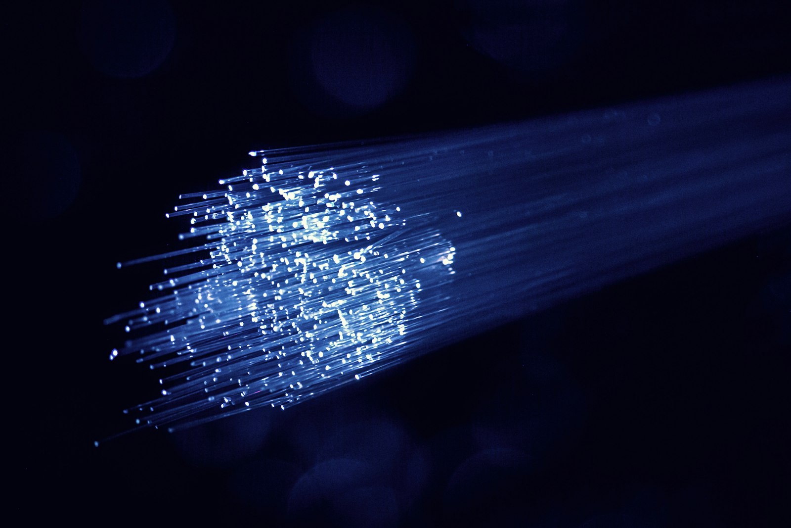 A bundle of glowing fibre-optic strands on black