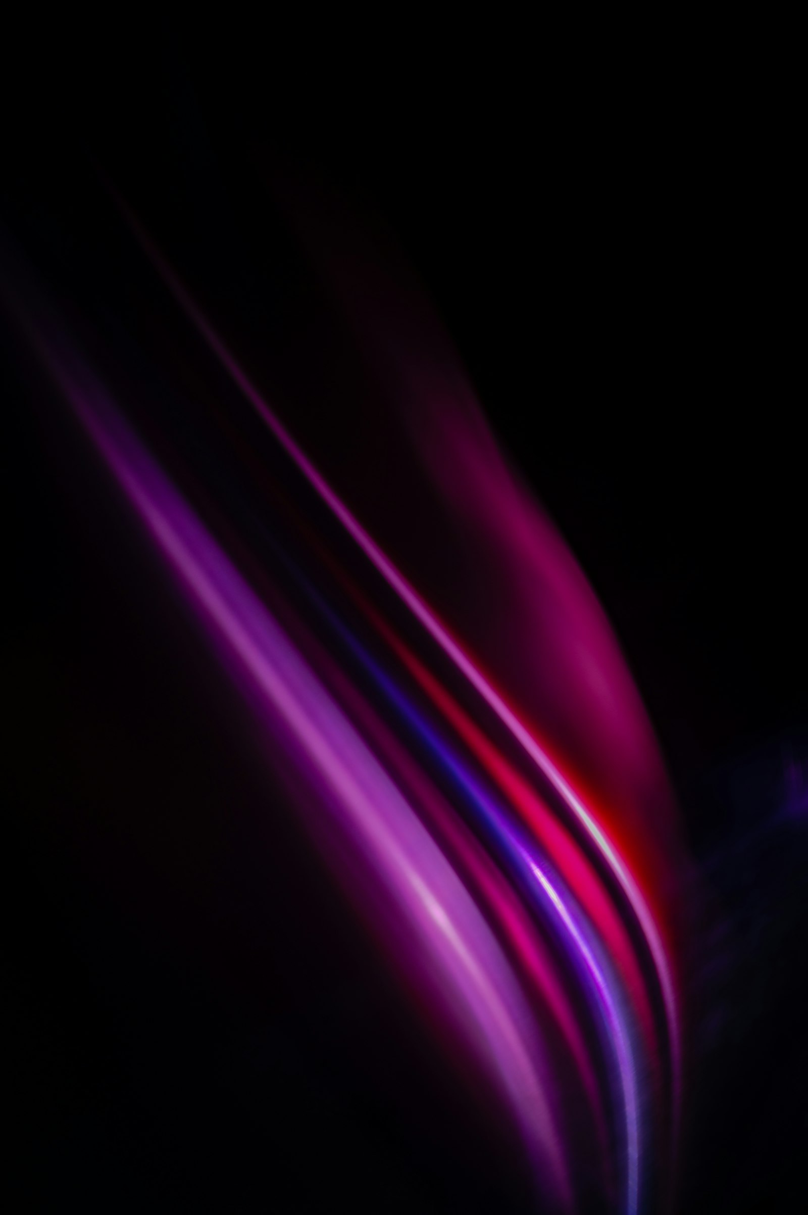 Abstract streaks of purple and magenta light on black